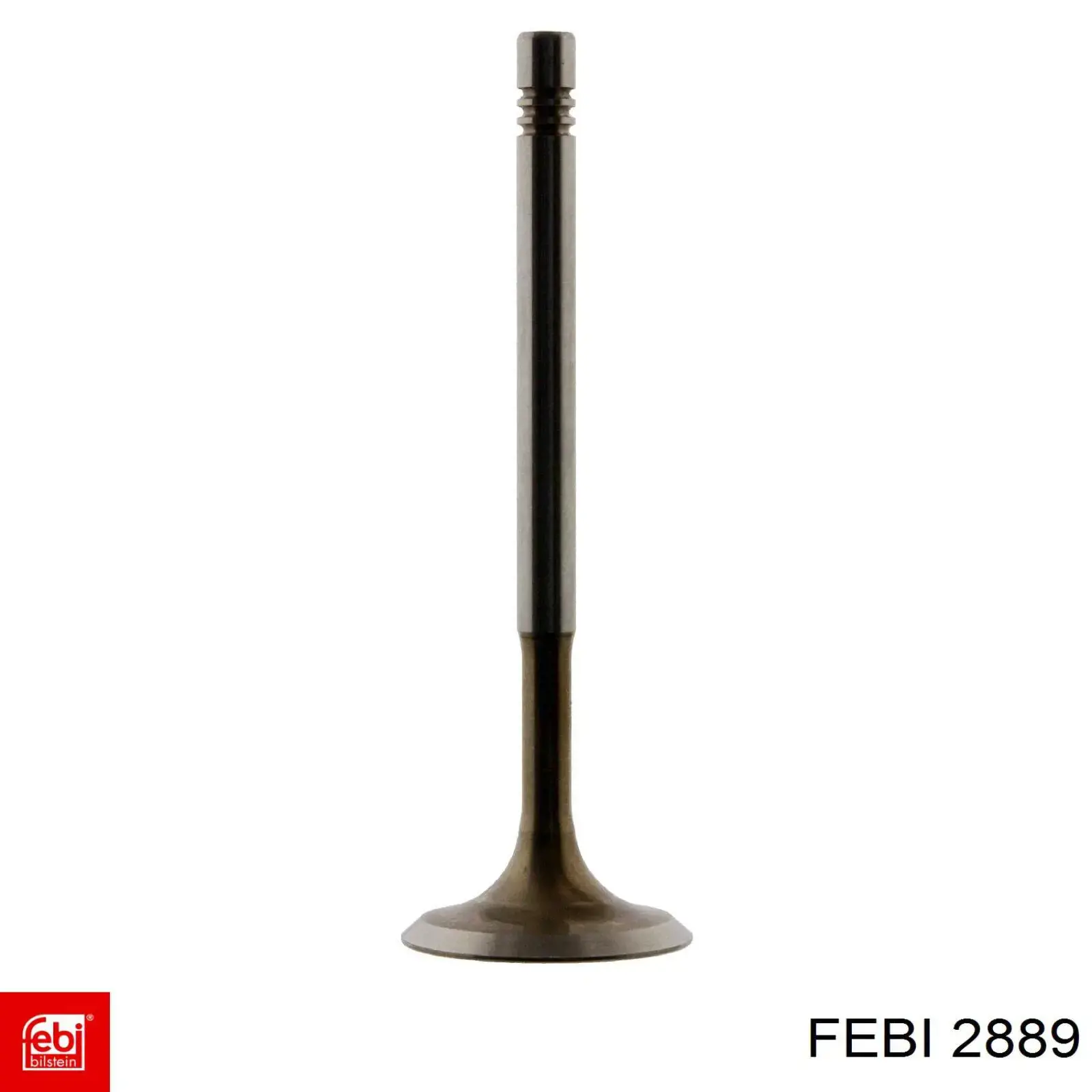 Ролик натяжителя ременя газорозподілу Febi 2889 ціна, від 31.48 USD