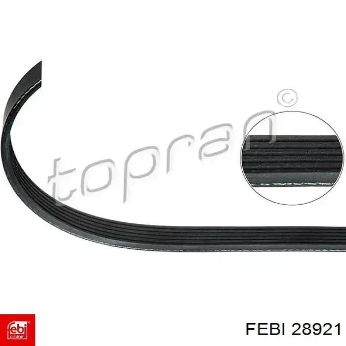 Клиновий ремінь Febi 28921 ціна, від 8.91 USD