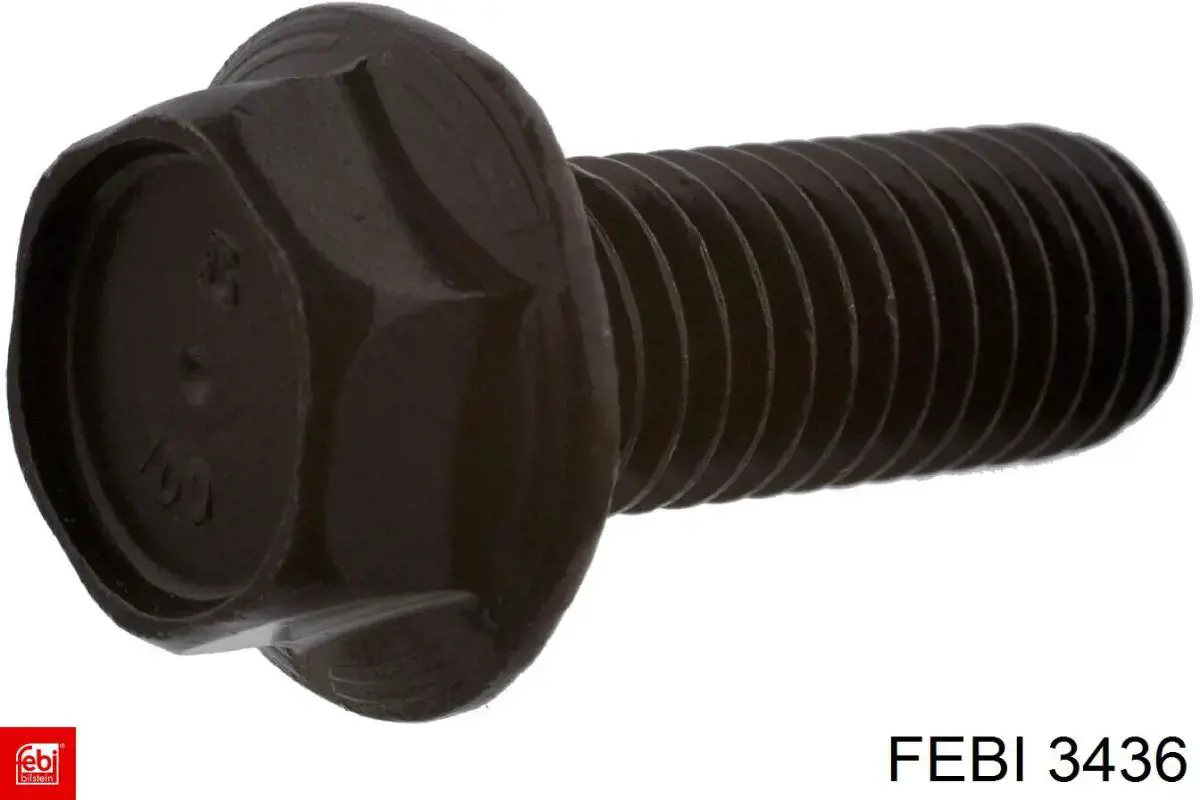  3436 Febi