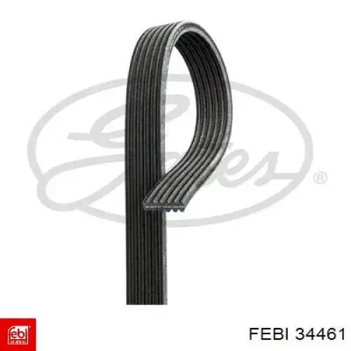 Клиновий ремінь Febi 34461 ціна, від 17.60 USD