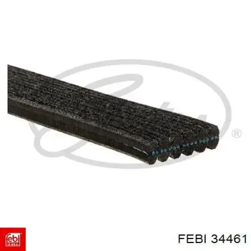 Купити 34461 Febi Ремінь генератора