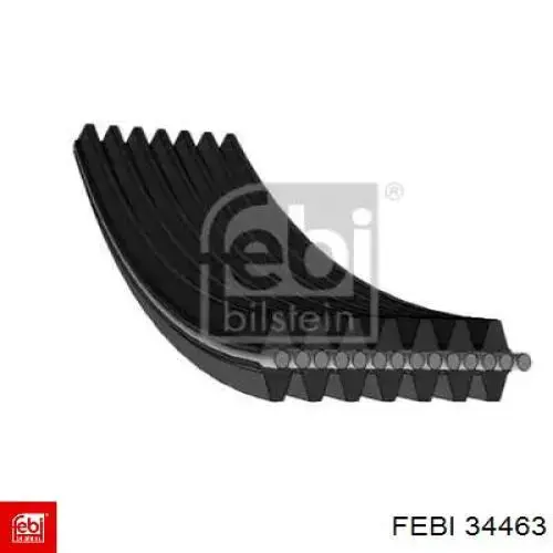 Купити 34463 Febi Ремінь генератора