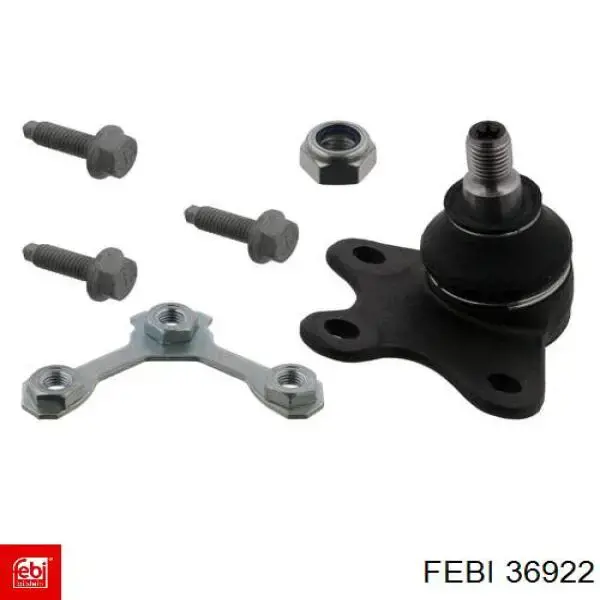 Важіль передньої підвіски нижній, правий Febi 36922 ціна, від 39.64 USD