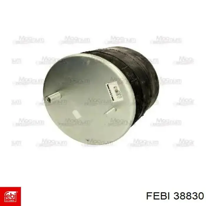  38830 Febi