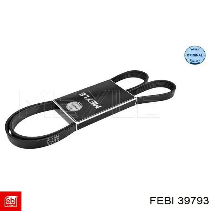 Купити 39793 Febi Ремінь генератора