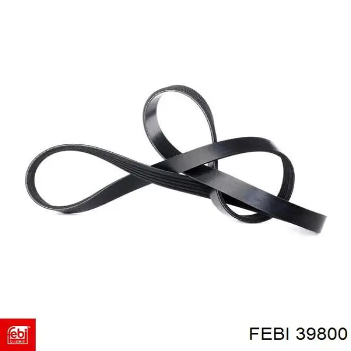 Купити 39800 Febi Ремінь генератора