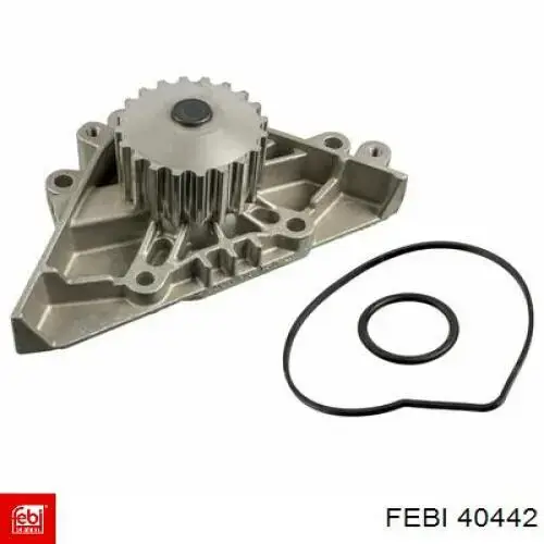 40442 Febi 