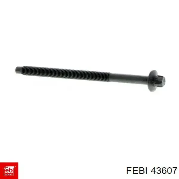 Болт головки блока циліндрів, ГБЦ Febi 43607 ціна, від 2.50 USD