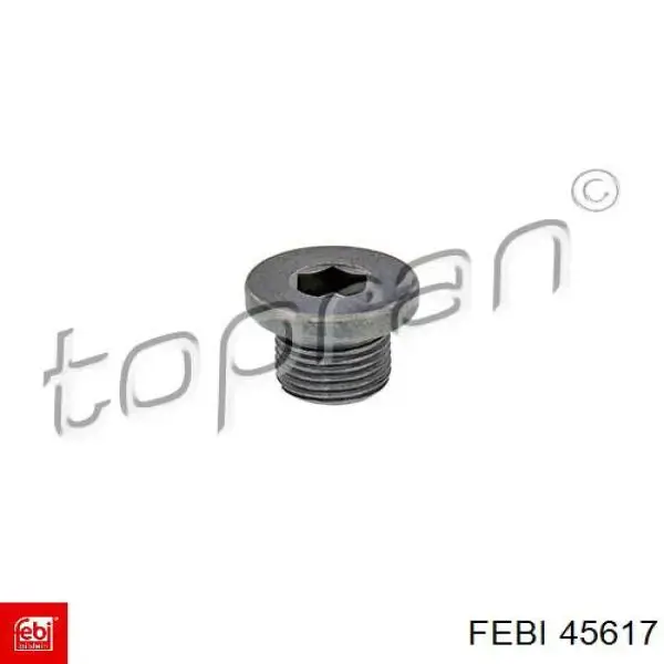 Купити 45617 Febi Пробка піддона двигуна