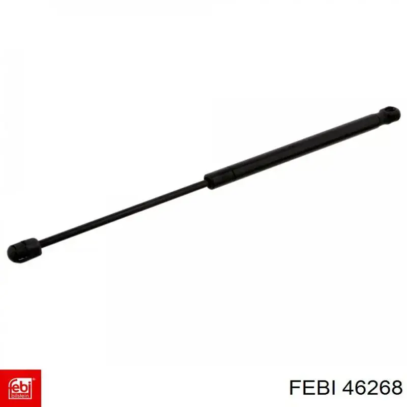 Ланцюг маслянного насосу 46268 Febi