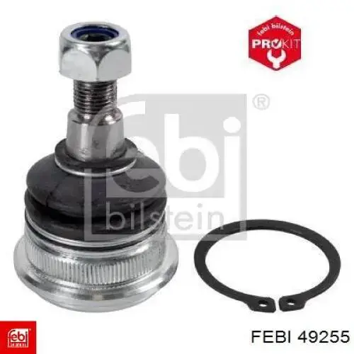 Шланг/патрубок радіатора охолодження, нижній Febi 49255 ціна, від 20.54 USD