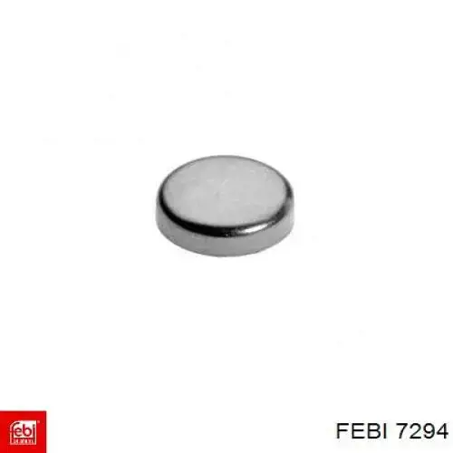 Заглушка ГБЦ/блоку циліндрів Opel 11070803 ціна, від 0.96 USD