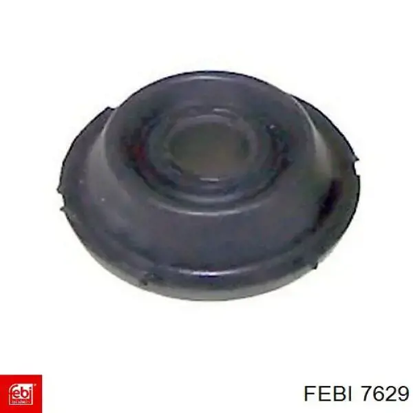 7629 Febi 