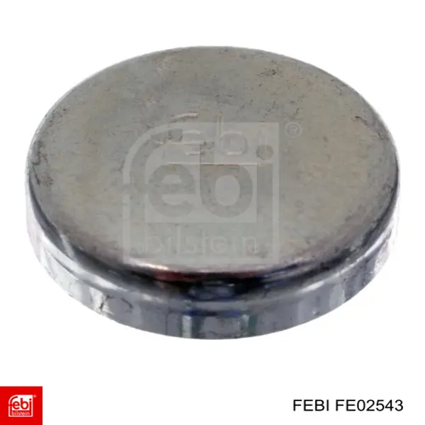 FE02543 Febi Заглушка головки блока