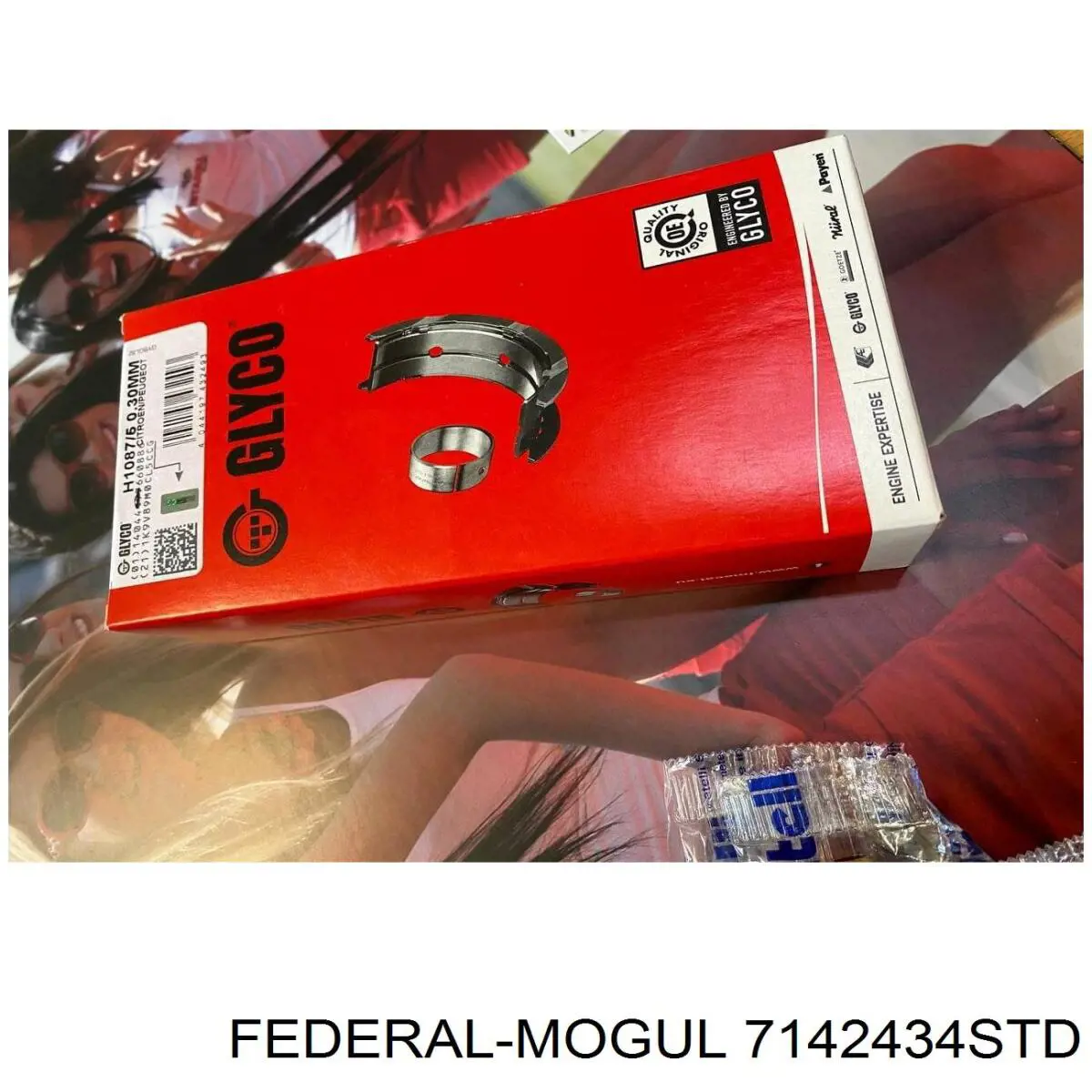 7142434STD Federal Mogul Підшипник шатуна