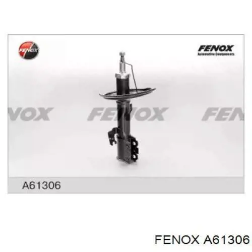 Амортизатор передньої підвіски, лівий Raiso RS317149 ціна, від 50.63 USD