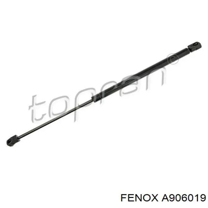 A906019 Fenox Амортизатор кришки багажника / двері 3/5-ї задньої