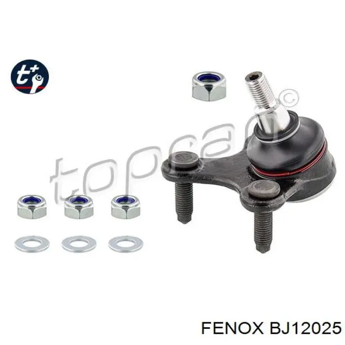 BJ12025 Fenox Кульова опора, нижня, права