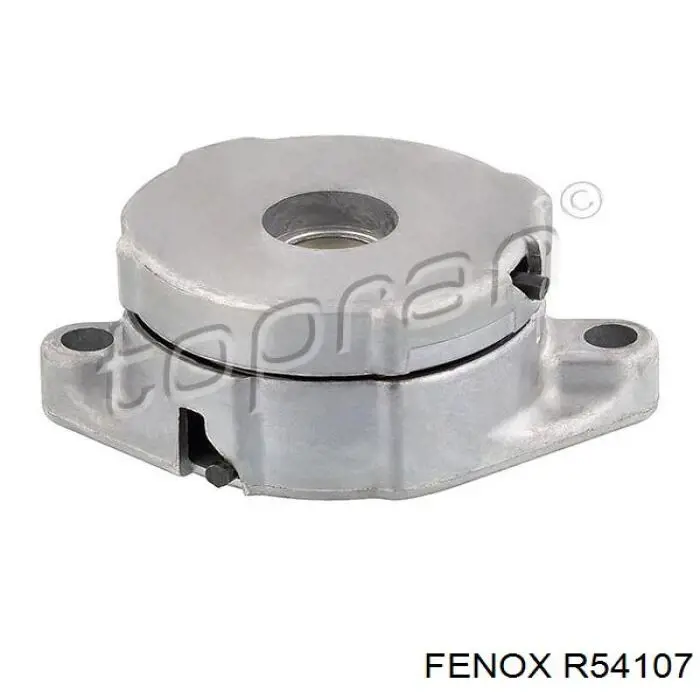 Натягувач приводного ременя R54107 Fenox