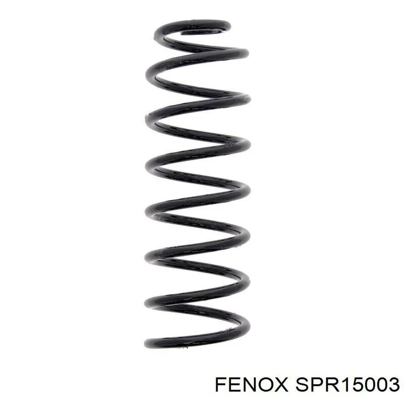 Купити 8200245681 Renault (RVI) Задні пружини