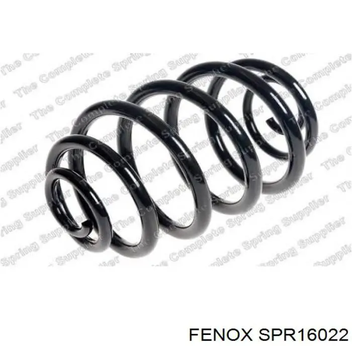 Купити PRTH209 Starline Задні пружини