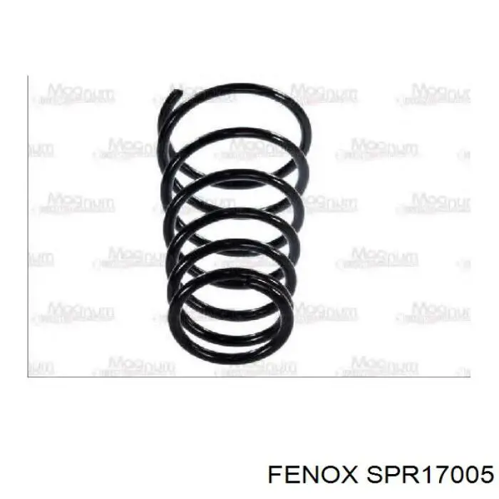 SPR17005 Fenox Пружина підвіски задня