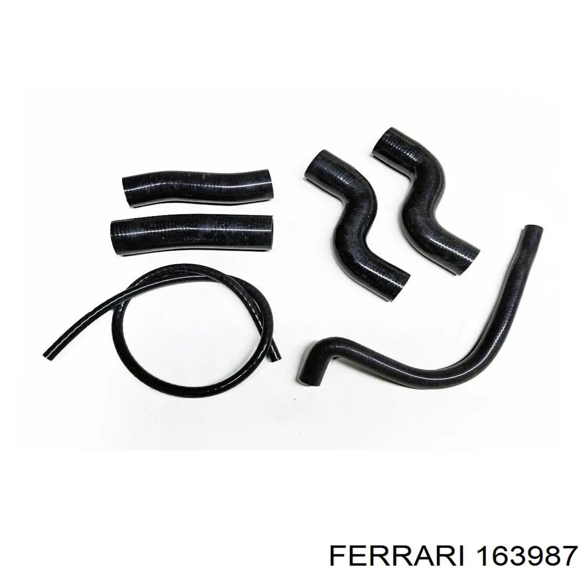 163987 Ferrari Ущільнювальне кільце, універсальне