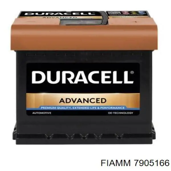 7905166 Fiamm 