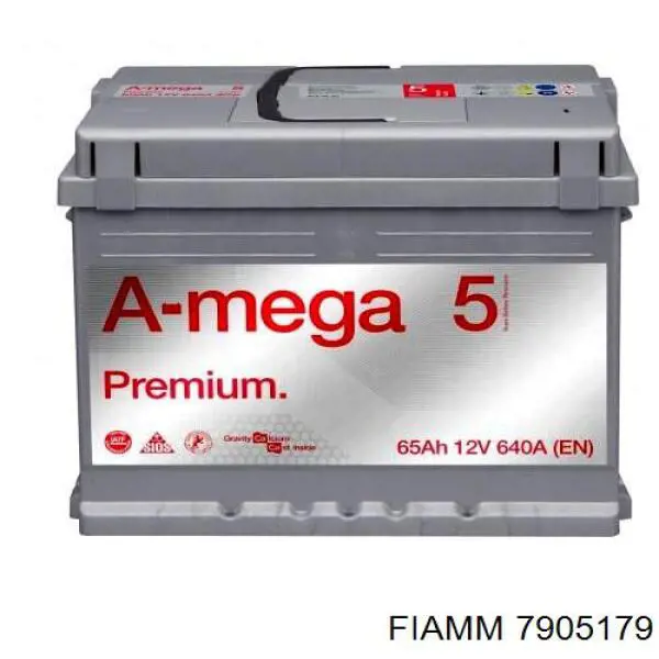 7905179 Fiamm 