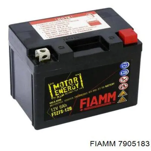 Купити 7905183 Fiamm 