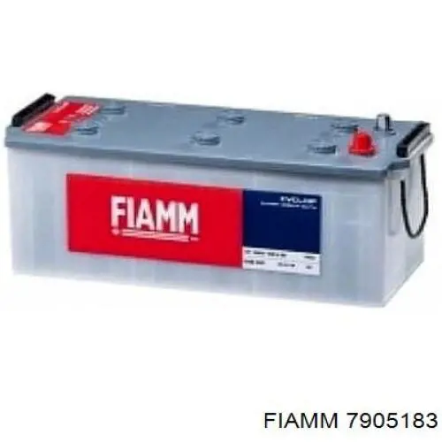  7905183 Fiamm