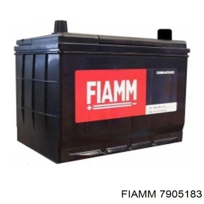 7905183 Fiamm 