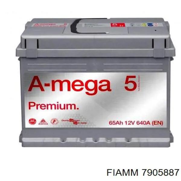 Купити 7905887 Fiamm 