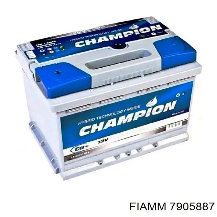 7905887 Fiamm 