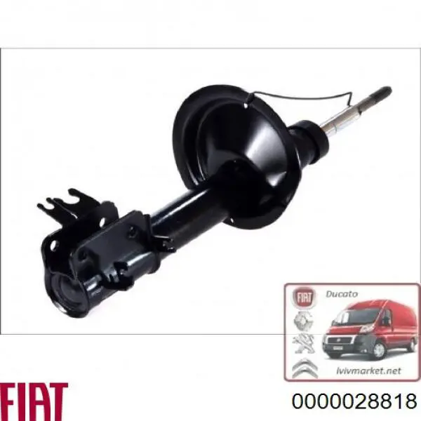  0000028818 Fiat/Alfa/Lancia