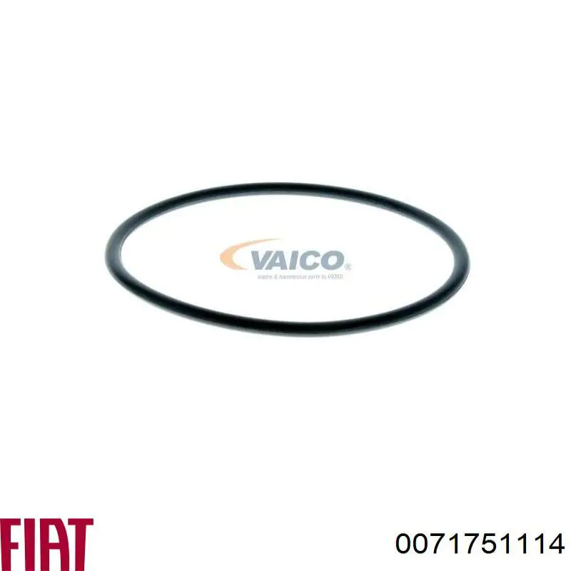 Фільтр масляний Fiat/Alfa/Lancia 0071751114