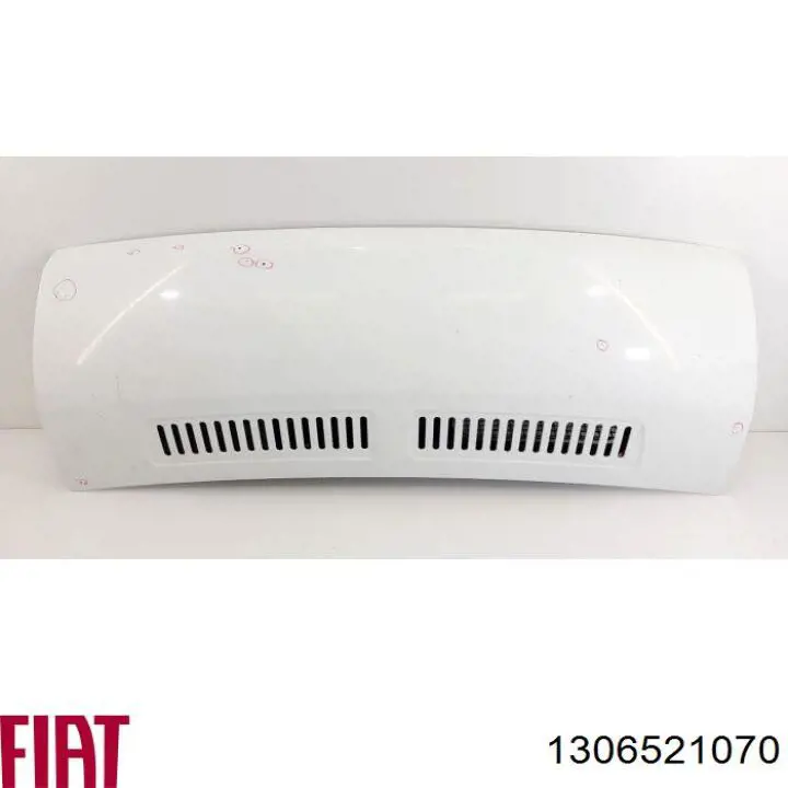 1306521070 Fiat/Alfa/Lancia 