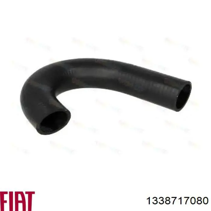 Купити 1338717080 Fiat/Alfa/Lancia Трубопроводи і шланги системи охолодження