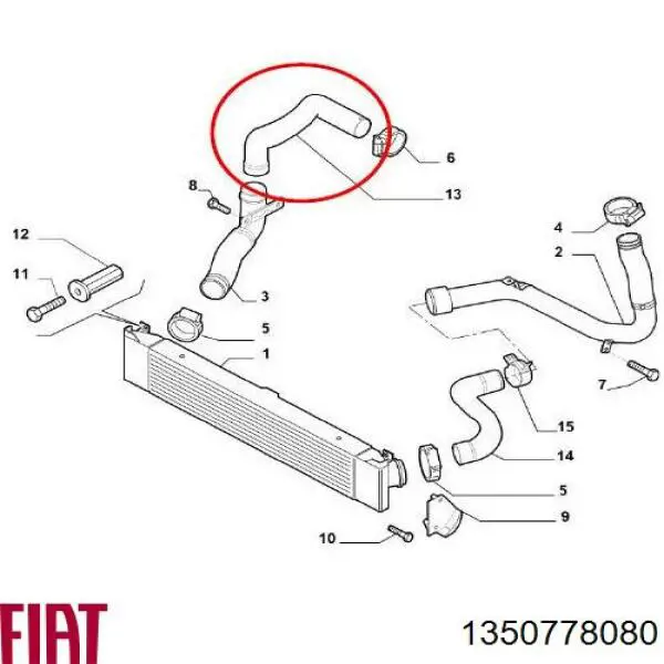 1350778080 Fiat/Alfa/Lancia Трубка, що нагнітається