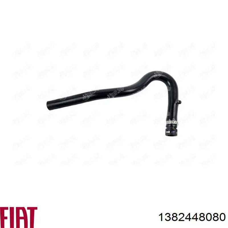 Купити 1384792080 Fiat/Alfa/Lancia Шланг/патрубок радіатора охолодження, верхній