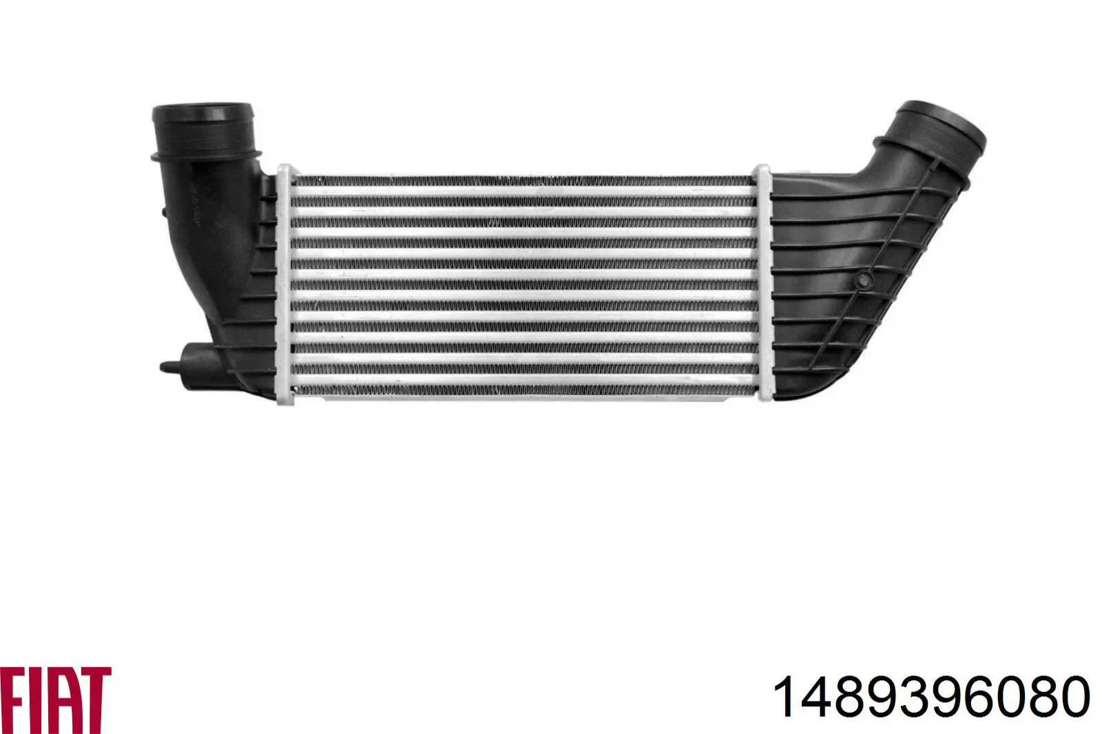 Інтеркулер E256074 Peugeot/Citroen