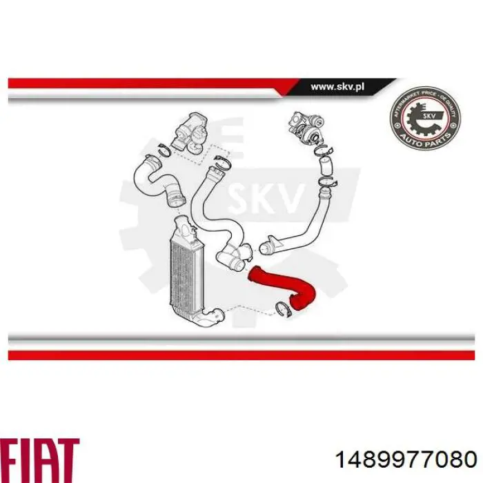 Шланг/патрубок интеркуллера 1489977080 Fiat/Alfa/Lancia