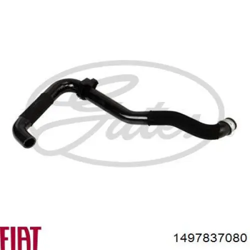 Купити 1497837080 Fiat/Alfa/Lancia Шланг розширювального бачка, нижній