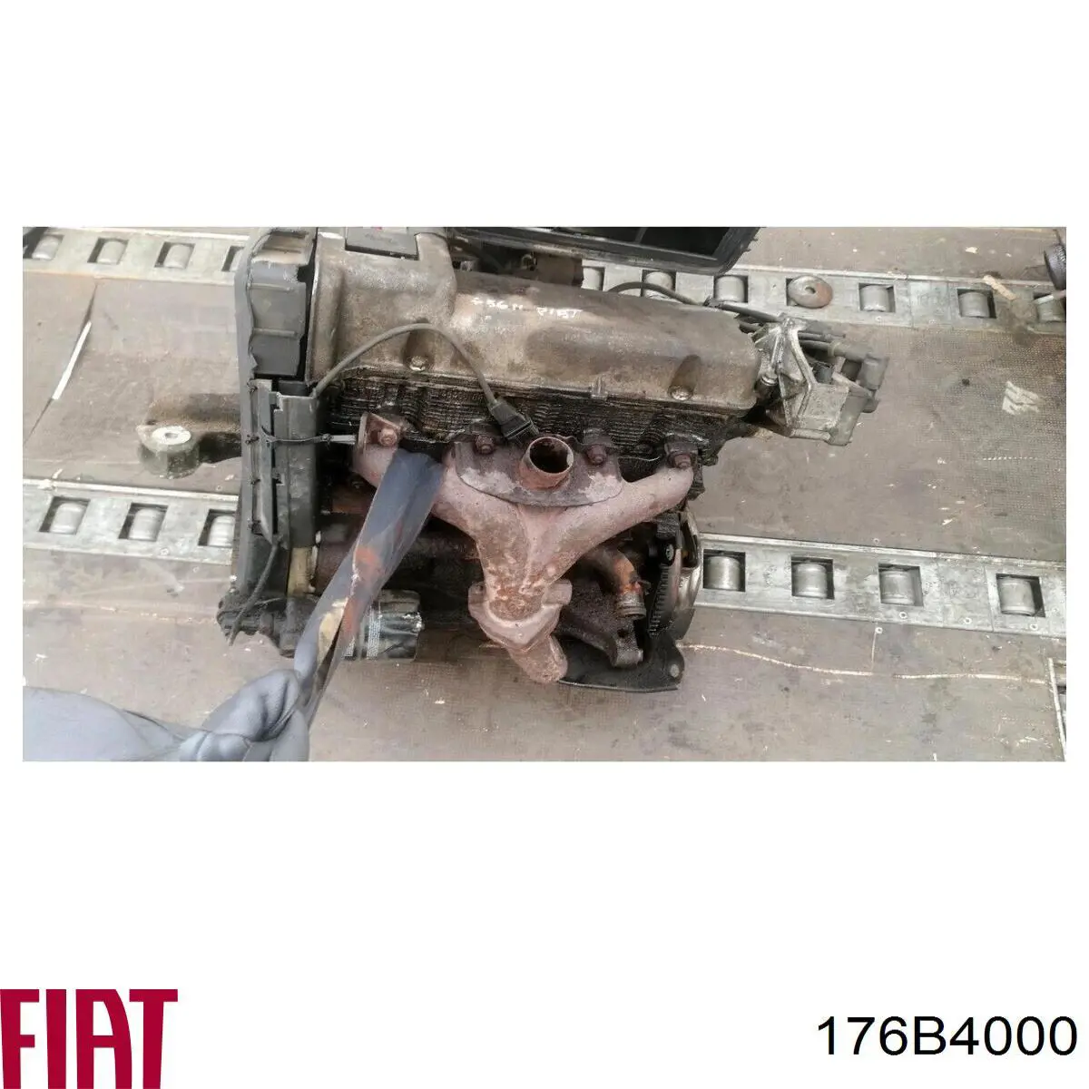 176B4000 Fiat/Alfa/Lancia Мотор в зборі