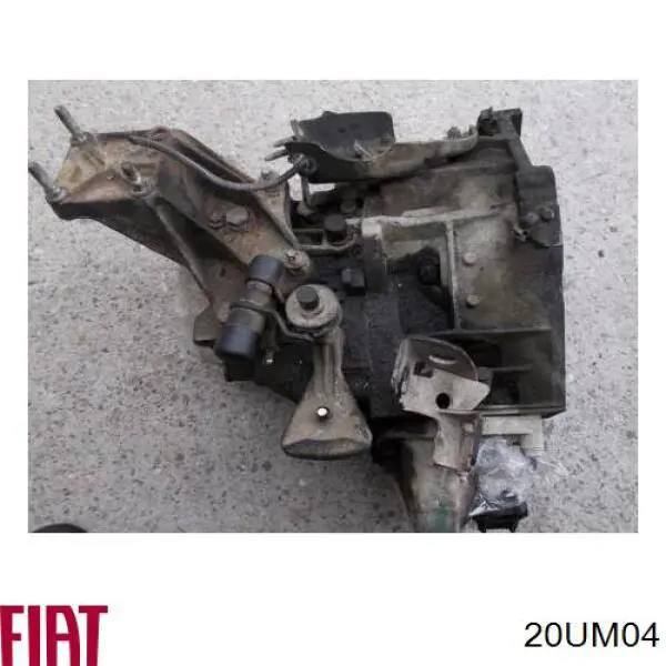 20UM04 Fiat/Alfa/Lancia МКПП