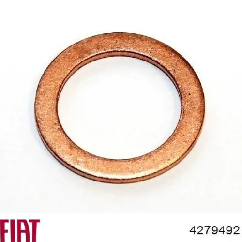 4279492 Fiat/Alfa/Lancia Прокладка пробки піддону двигуна