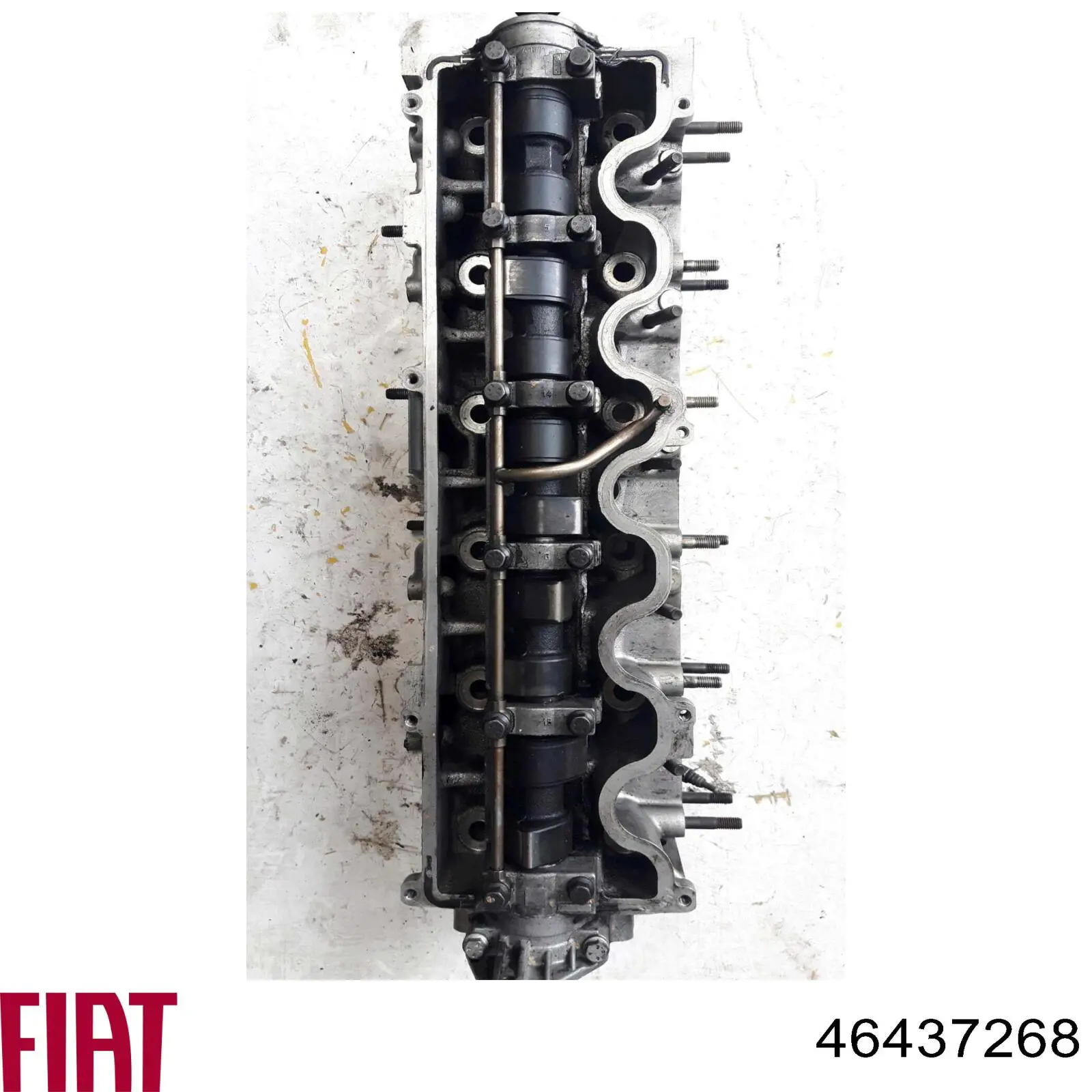 Купити 46437268 Fiat/Alfa/Lancia Головка блоку