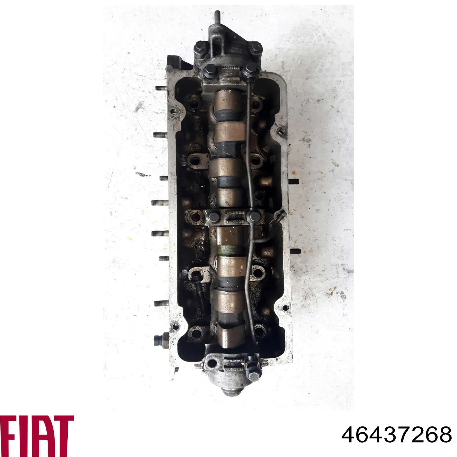 ГБЦ 46437268 Fiat/Alfa/Lancia