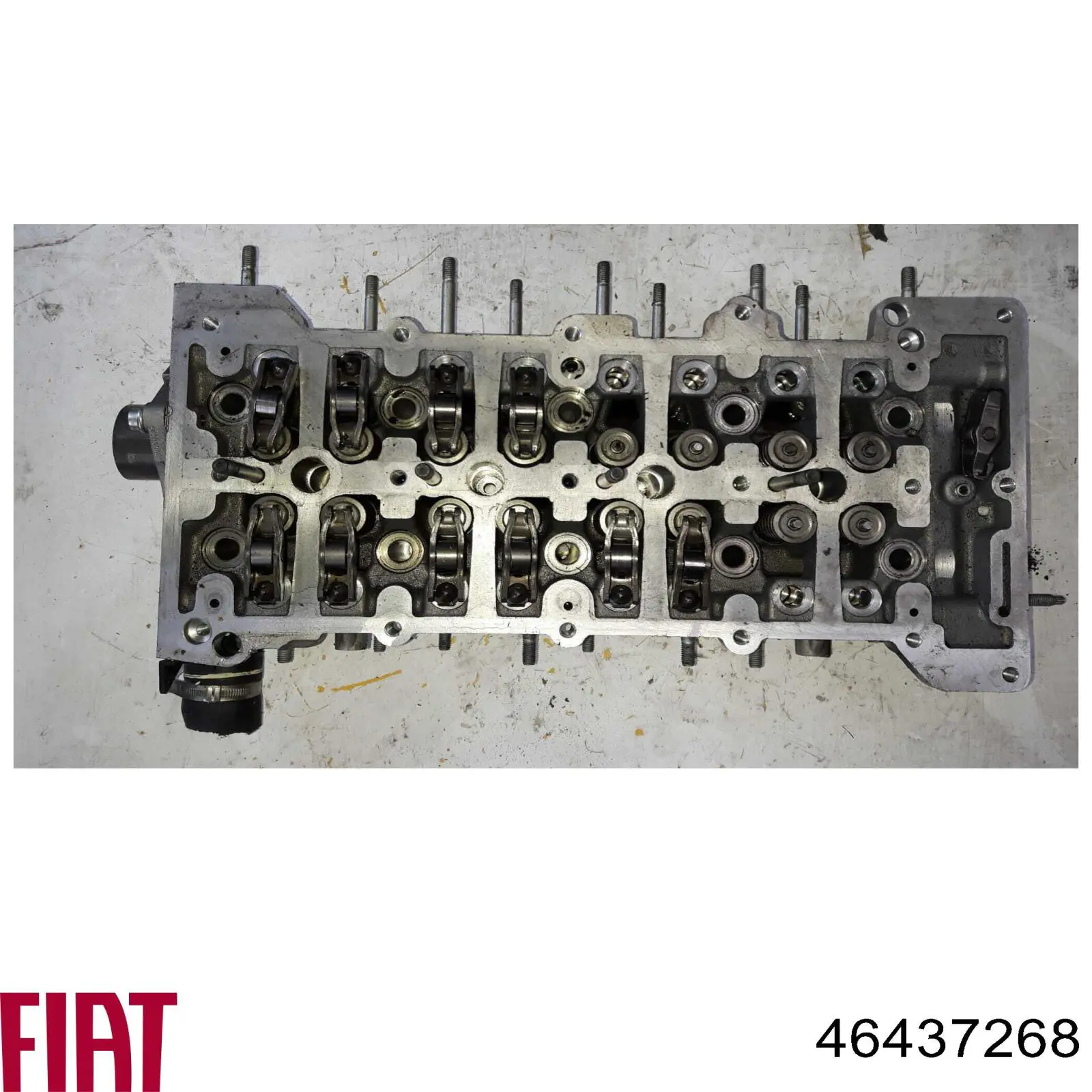 46437268 Fiat/Alfa/Lancia Головка циліндрів