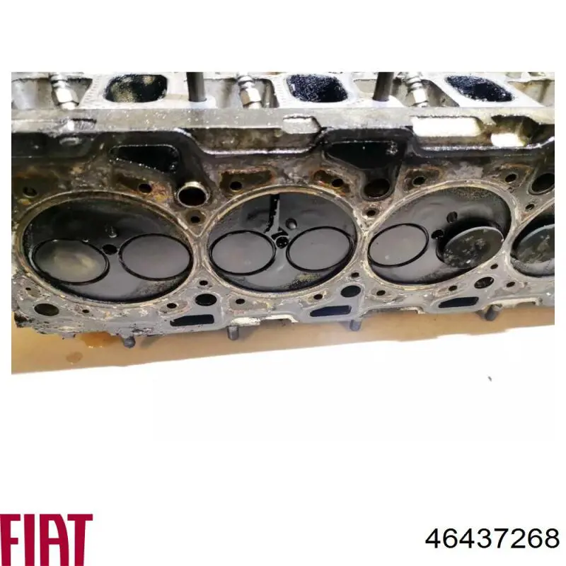 Головка двигуна Fiat/Alfa/Lancia 46437268 ціна, від 89.99 USD